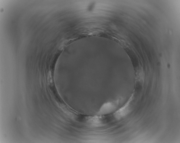 X0000075820182200609221343