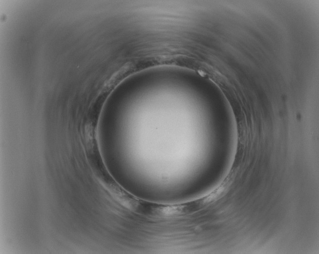 X0000075820184200609221343