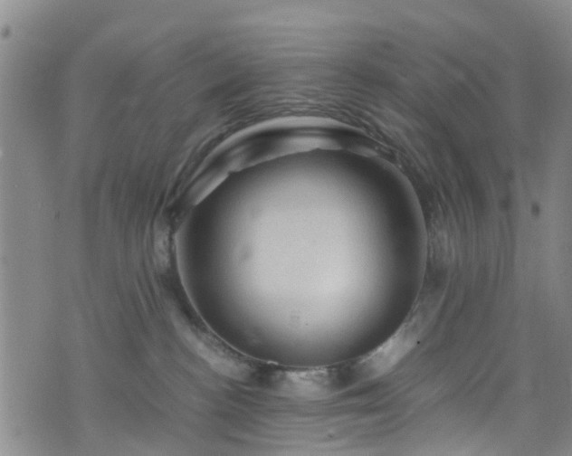 X0000075820188200609221343