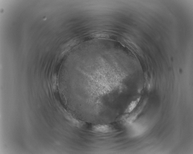 X0000075820189200609221343