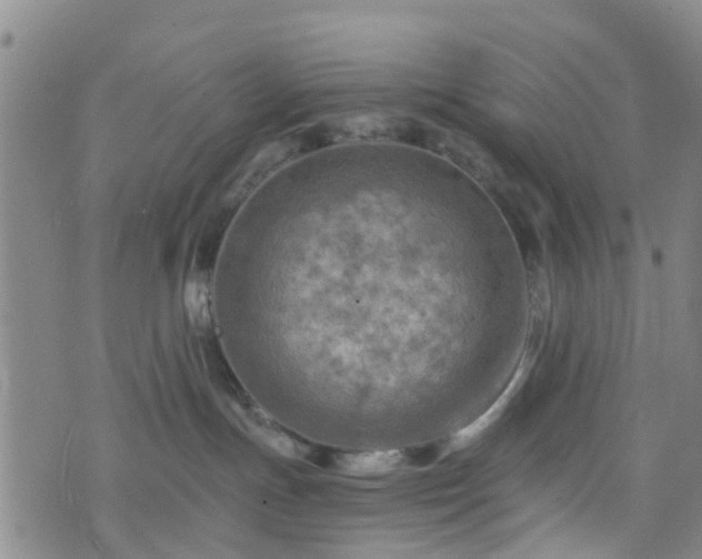 X0000075820191200609221343