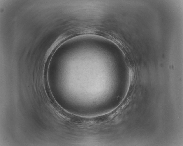 X0000075820195200609221342