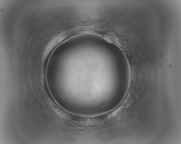 X0000075820293200609221341