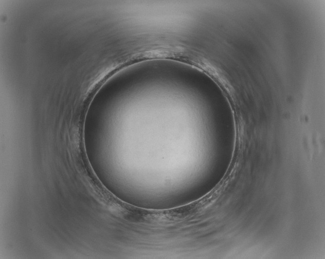 X0000075820297200609221341
