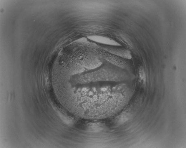 X0000075820408200609221339