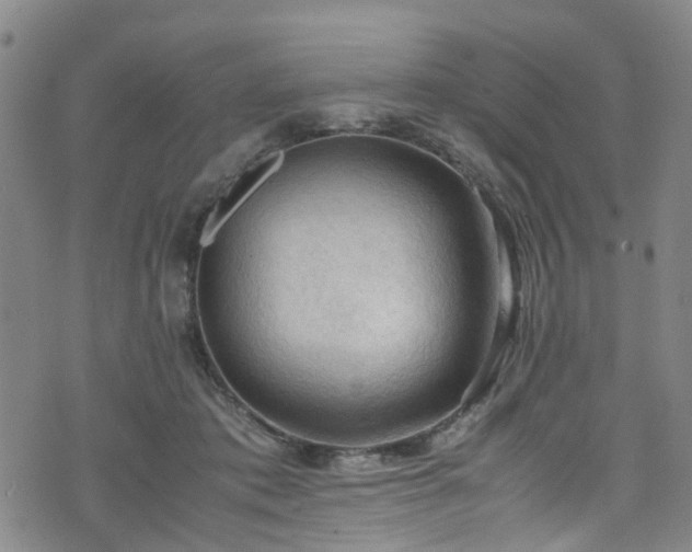 X0000075820413200609221339