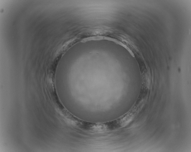 X0000075820415200609221339