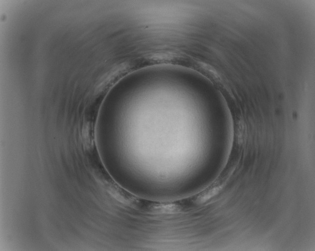 X0000075820428200609221338