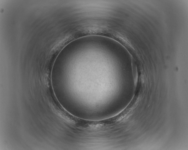 X0000075820450200609221338