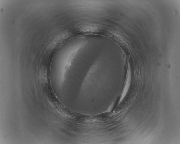 X0000075820547200609221336