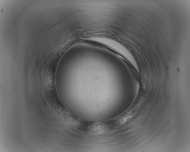 X0000075820608200609221335