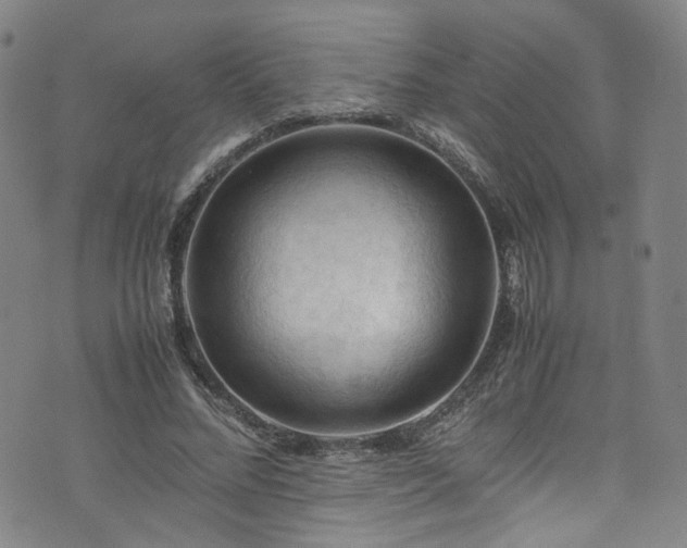 X0000075820684200609221334