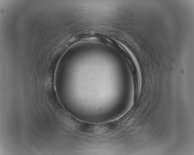 X0000075820697200609221334
