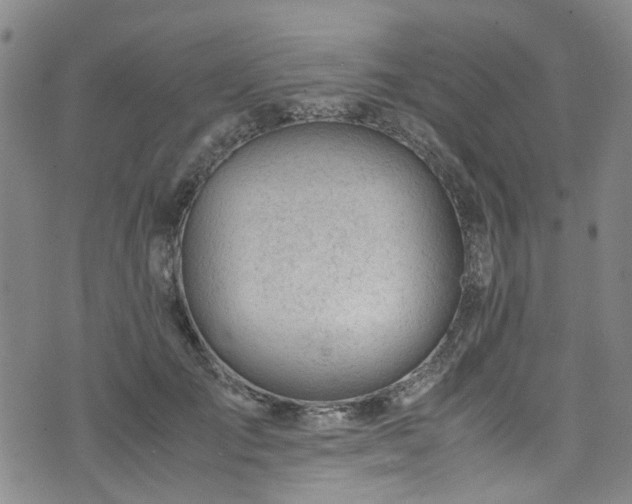 X0000075820701200609221334