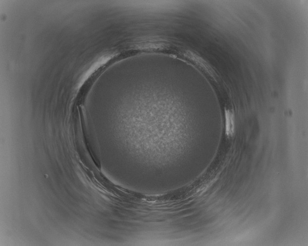 X0000075820723200609221333
