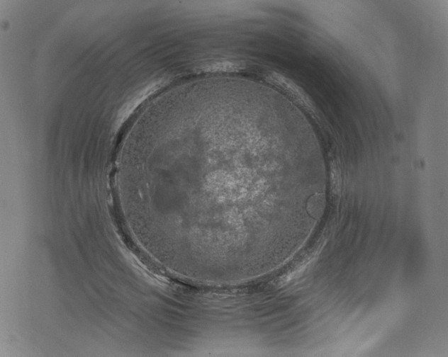 X0000075820725200609221333