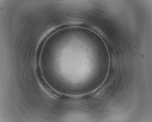 X0000075820726200609221333