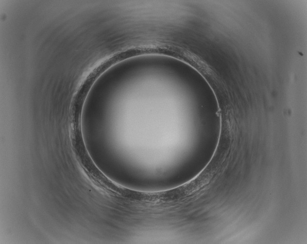 X0000075820728200609221333