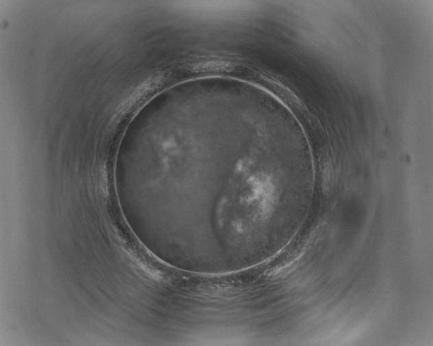 X0000075820729200609221333