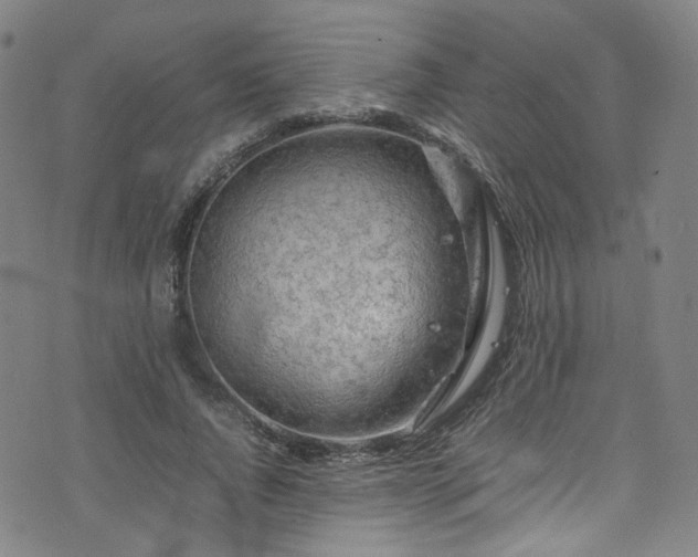 X0000075820736200609221333