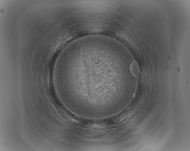 X0000075820739200609221333