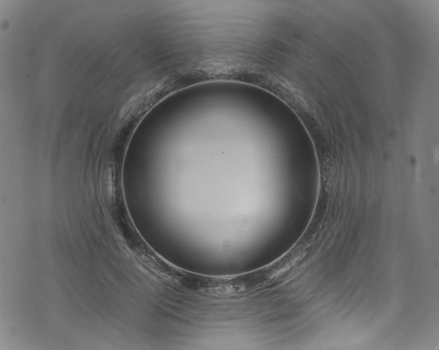 X0000075820740200609221333