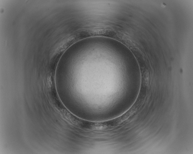 X0000075820746200609221333