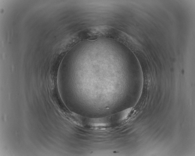 X0000075820751200609221333