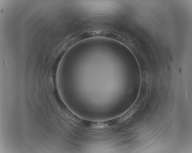 X0000075820754200609221333