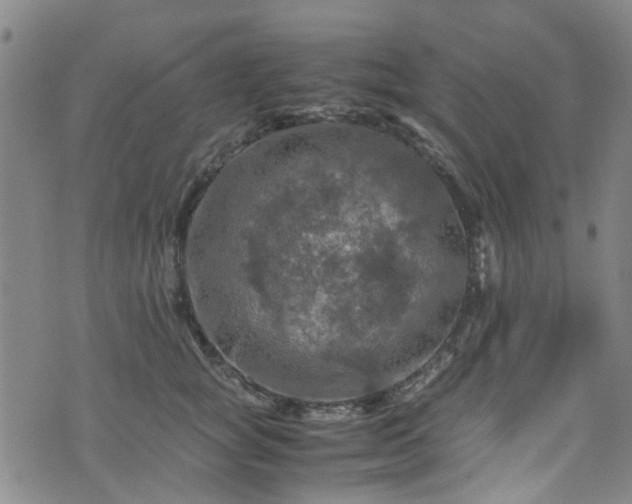 X0000075820757200609221333