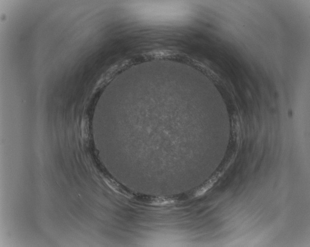 X0000075820760200609221333