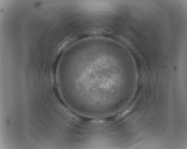 X0000075820762200609221333