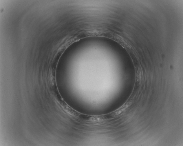 X0000075820764200609221334