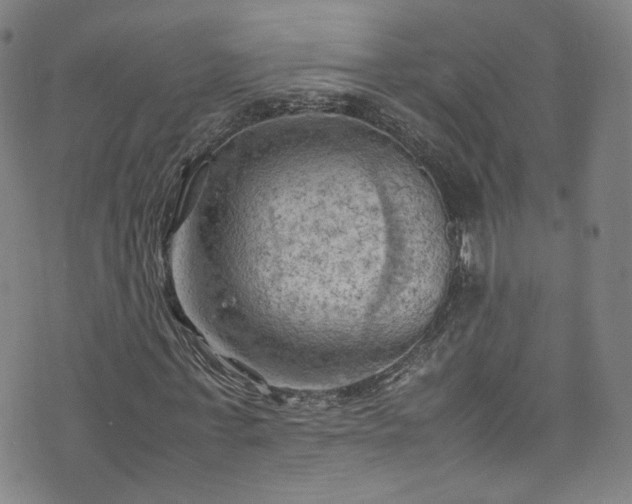 X0000075820771200609221333