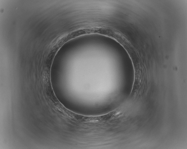 X0000075820773200609221333