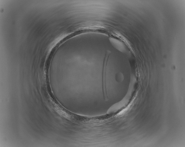 X0000075820779200609221333