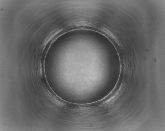 X0000075820782200609221333