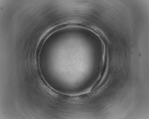 X0000075820784200609221333