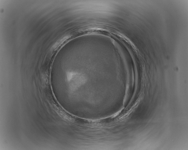 X0000075820785200609221333