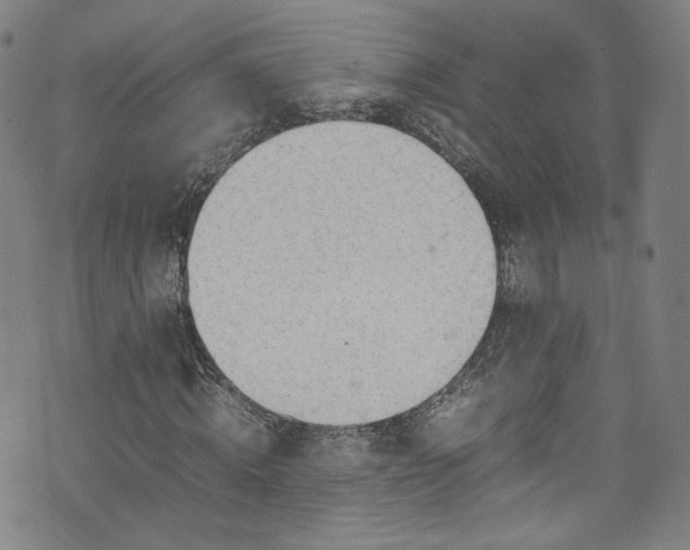 X0000075820820200609221331