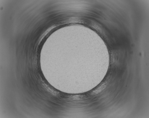 X0000075820828200609221331