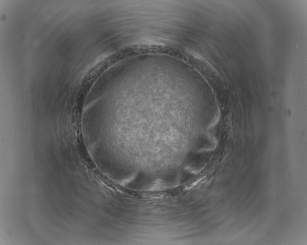 X0000075820870200609221331