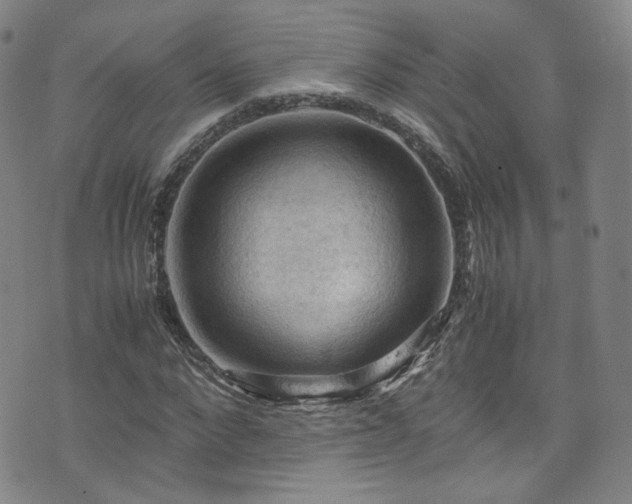X0000075820872200609221331