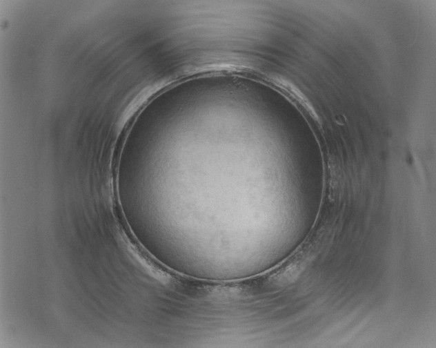 X0000075820890200609221331