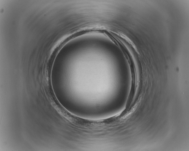 X0000075820981200609221329