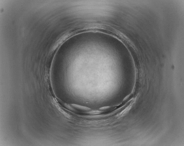 X0000075820985200609221329