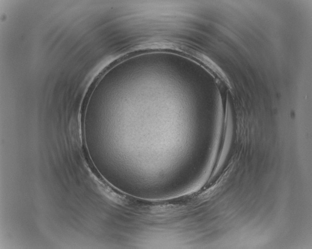 X0000075820988200609221329