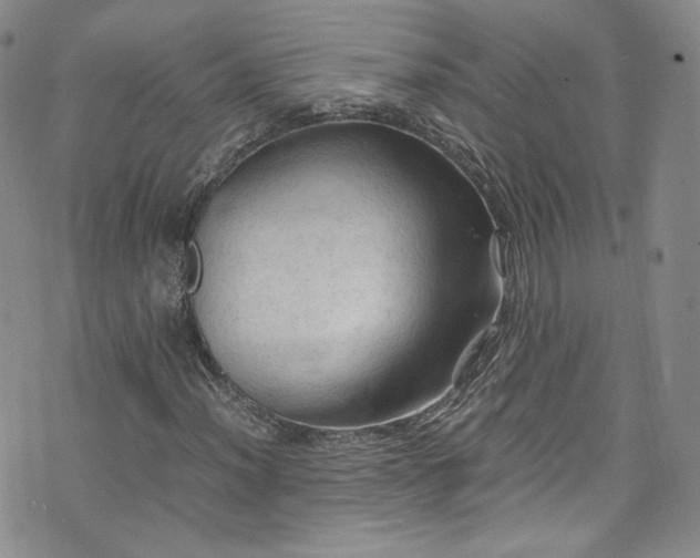 X0000075821012200609221328