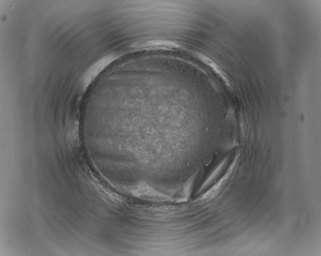 X0000075821066200609221328