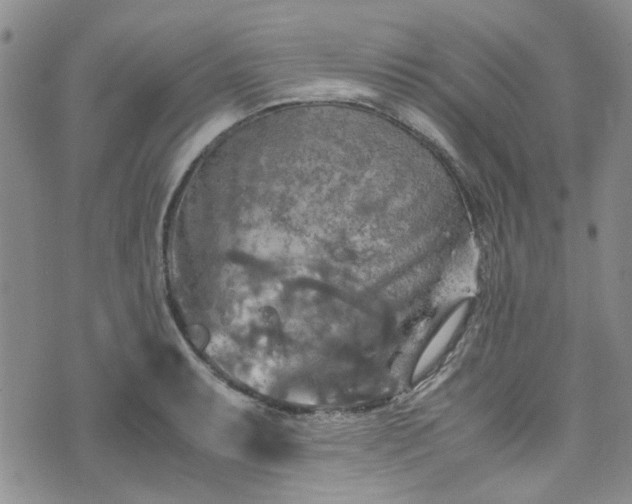 X0000075821087200609221328